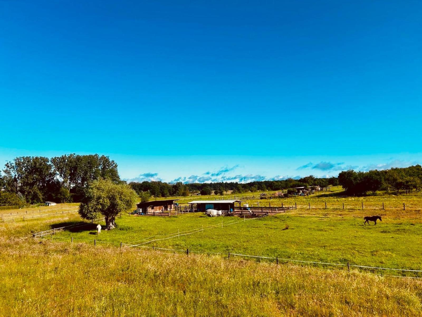 Bed and Breakfast La Clef Des Songes Mertzwiller Экстерьер фото